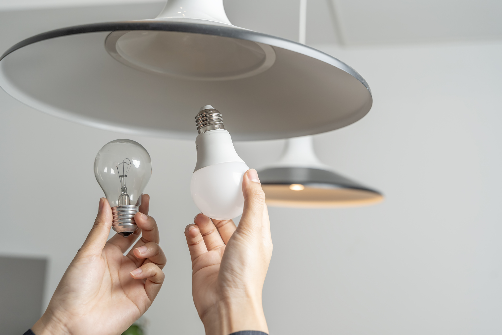LED Lighting and CFL.