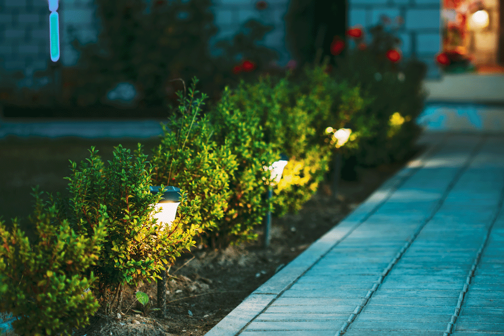 lights in bushes going up sidewalk outdoor lighting wilmington nc